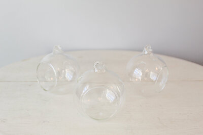 TE Inventory-Clear Glass Globes for Hanging 011
