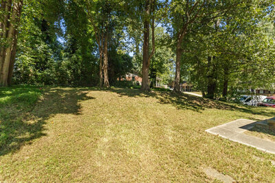 Large grassy backyard with mature shade trees and surrounding greenery, offering a private outdoor retreat.