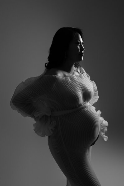 High-fashion maternity portrait of a woman in a sheer crinkle puff-sleeve neutral gown with dramatic lighting and a classic pose