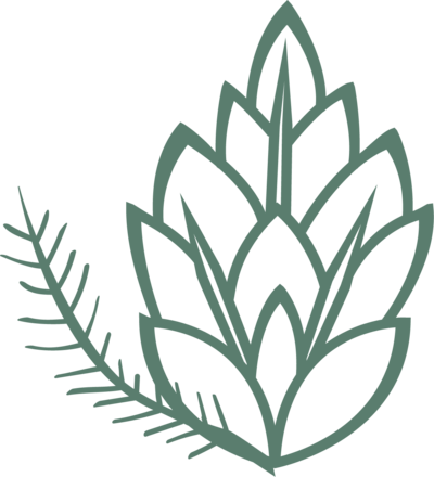 illustration of pinecone icon