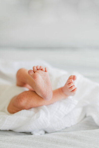 Close-up of a newborn's feet on a white blanket