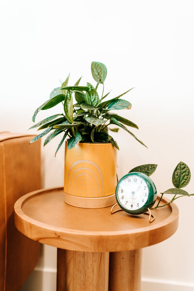 Therapy services are available for postpartum moms via telehealth. All you need is your laptop and internet connection and we can meet you wherever you are.