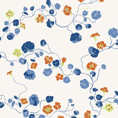 Nasturtium-DelMar-lrg_1080x