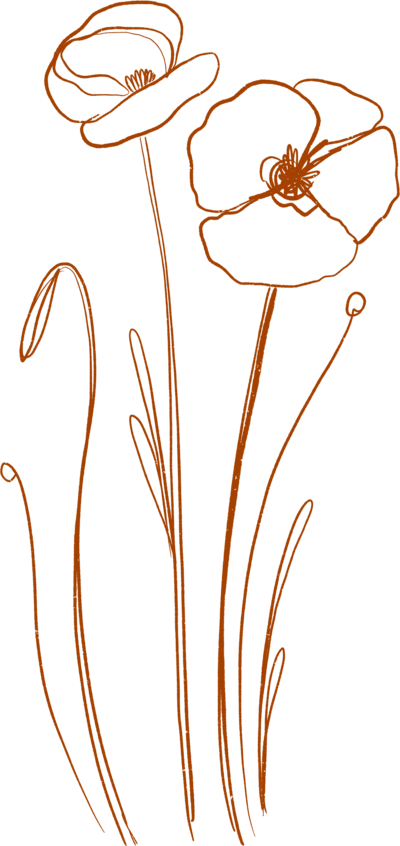 DaniPurington-Flowers-Orange-0
