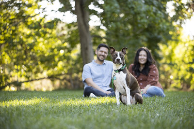 commercial-pet-photographer-san-diego