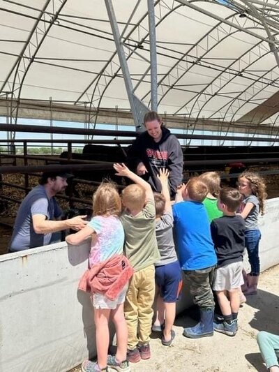 Kids at a school tour visiting a cattle farm