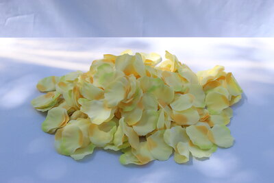 yellow rose petal rental