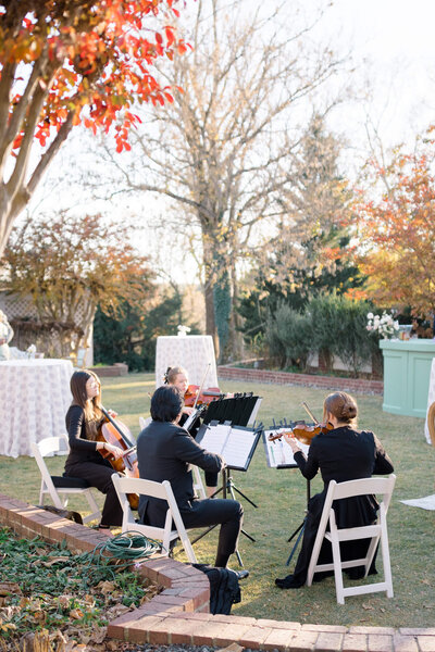 Quartet playing during cocktail hour.