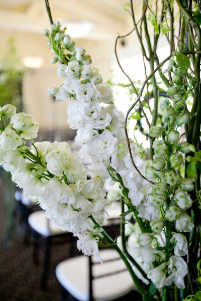 Your Big Day Of - Northern California Wedding and Event Planner - Novato, California Day Of and Month of Planner - Photo - 2
