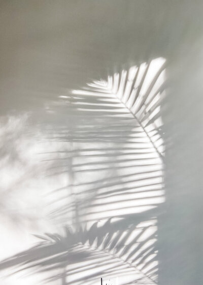 Elevae_23_006277-1
