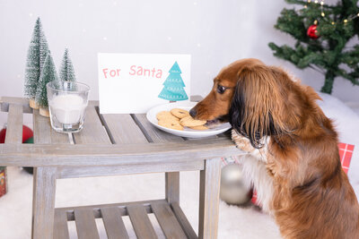 Elegant rustic wedding