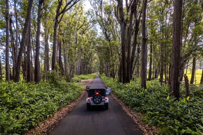 Photo of jeep in rainforest by Hawaii Adventure Portraits, Big Island Photographers