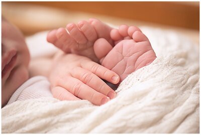 Close up studio portrait of a newborn baby's toes