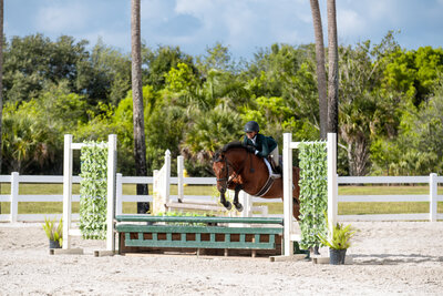 photo of a girl on a bay pony jumping over a green jump