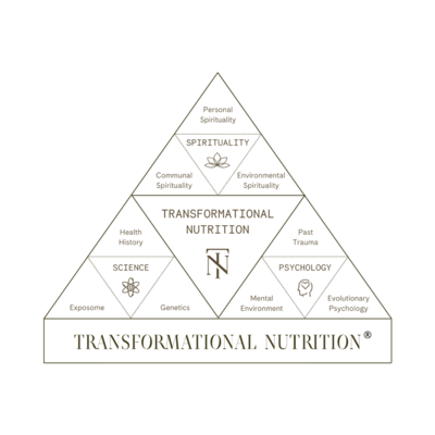 Transformational Nutrition pyramid