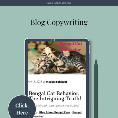 website copywriting services