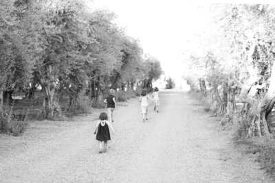 Children run in olive trees