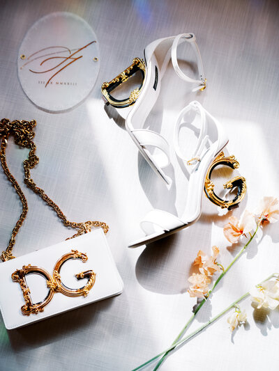 dolce-gabbana copy