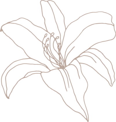 Sketch of a white lily flower at a catholic wedding