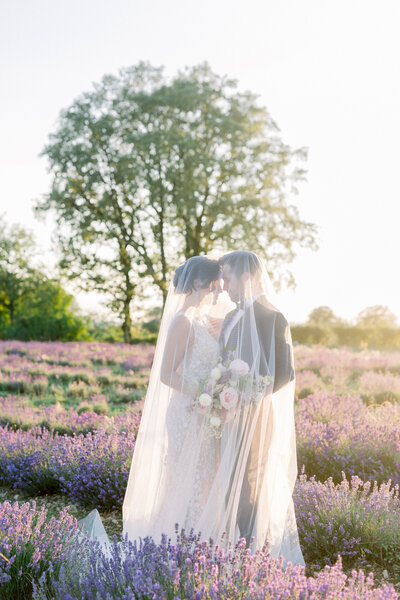 Lavender Prewedding Photoshoot