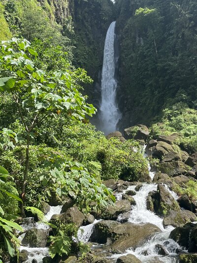 dominica 5