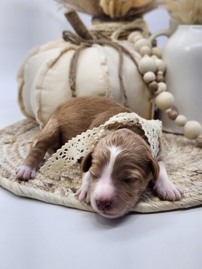 4e5aa319-b531-431b-9ca7-352031b8670b