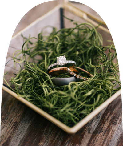 Bride and groom wedding rings sitting in a dish with greenery