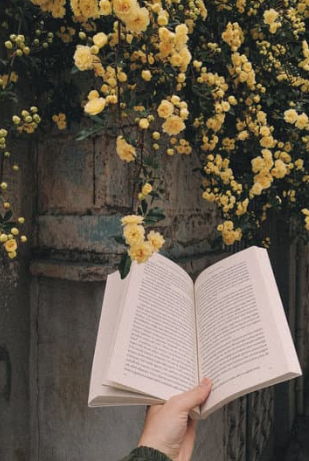 Bush full of yellow flowers and an open book in hand