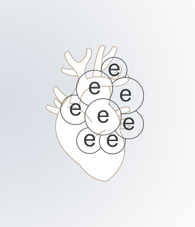 Diagram of a heart, with half a dozen circles with the letter e inside, representing entities.