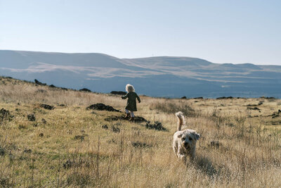 A young girl and dog running on a hill, representing the family photography shooting style of Among the Oaks. 