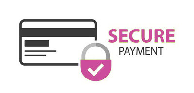 secure-payment-design-260nw-589663346