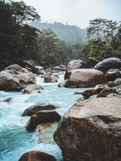 Homeopathic Detoxification/Drainage Protocol