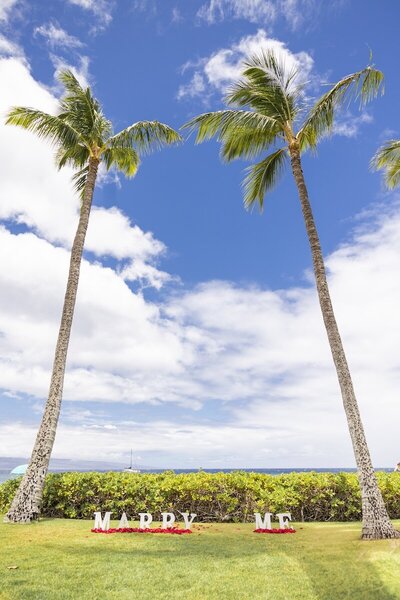 Maui Proposal Photographer in Wailea