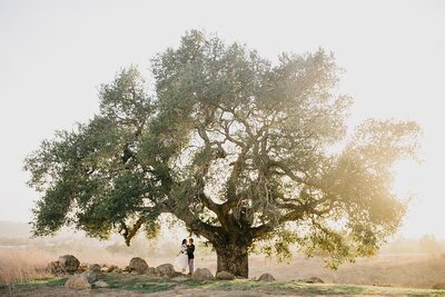 A photo of a couple beside a tree