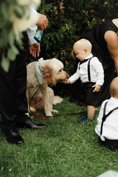 ringbearer with dog