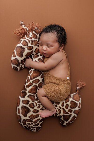 Newborn sleeping and holding a giraffe for a photoshoot
