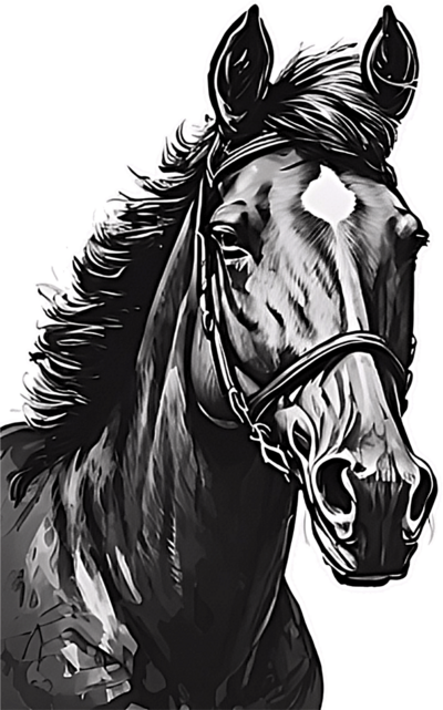 Sketch of horse head