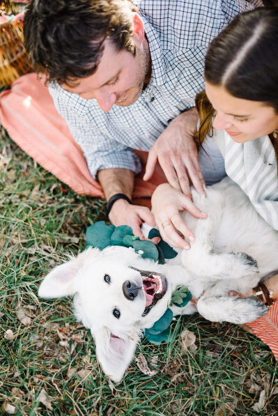 Karyn-Johnson-Photography-Engagements-17(pp_w399_h597)