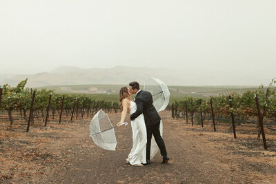 Groom dips his bride in vineyard while they hold umbrellas in the rain