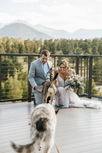 A newlywed couple crouching down as two dogs run towards them.