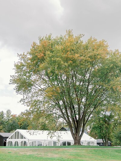private-estate-wedding-middleburg-virginia-the-hancocks_1049