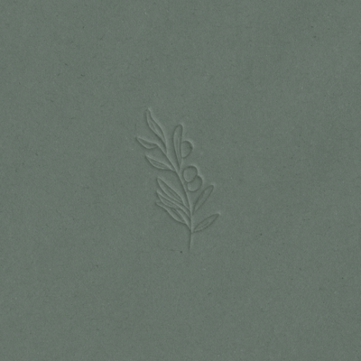 LDA olive mockup