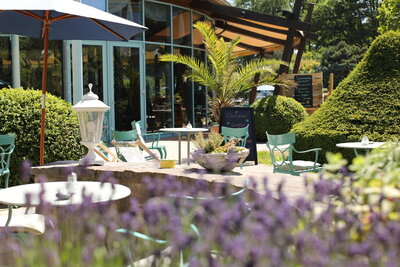 Außenterrasse im Gartenrestaurant des Hotel Bernstein.