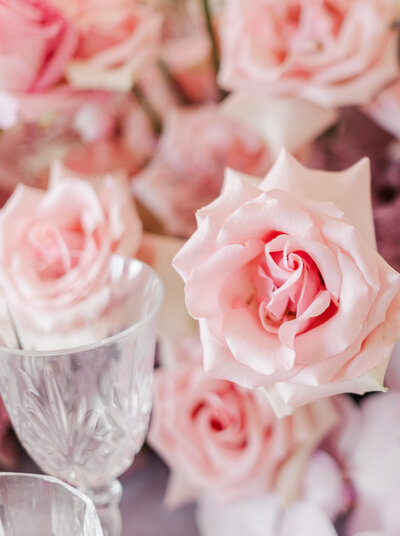 light pink flowrs