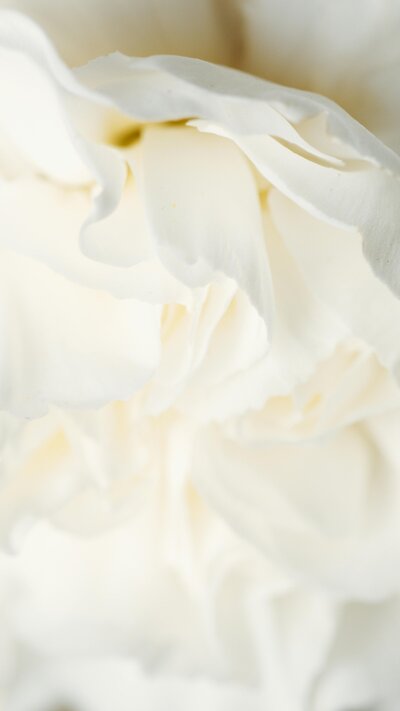 peony