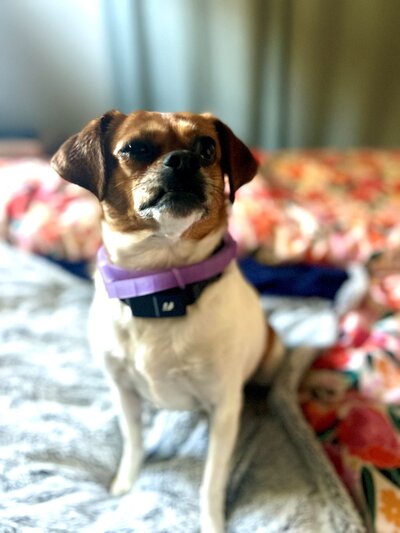 Abby New 06 2025