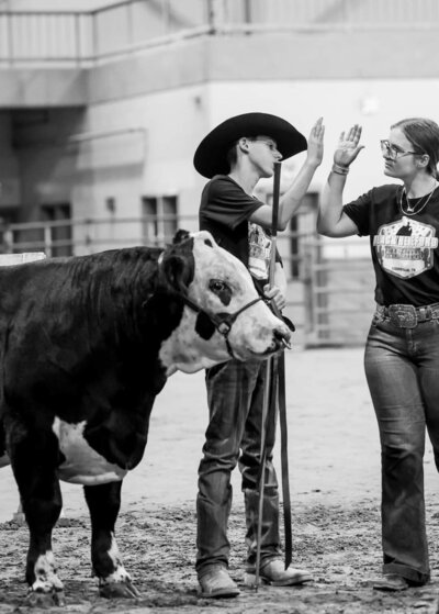 High five on show day