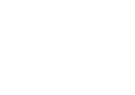 Car-o-Liner-Logo