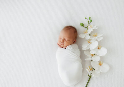 Infant posed for Newborn Portraits in Charleston, SC.