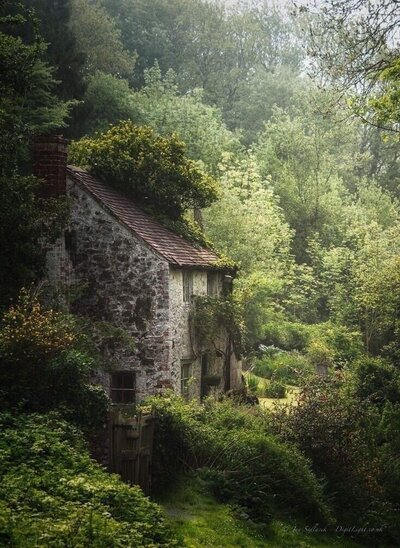 Whimsical vintage cottage in nature